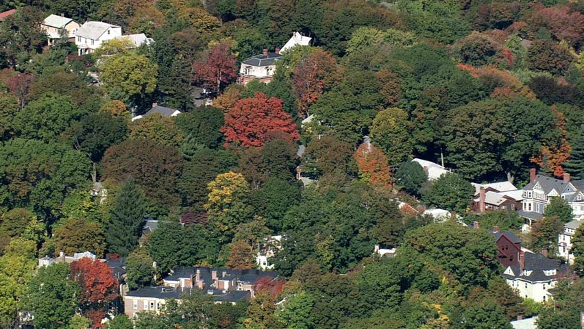 An aerial view shows houses nestled among vibrant trees in autumn
