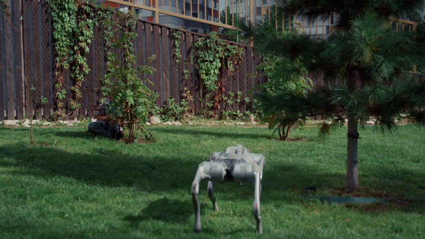 A young child enjoys playing hide-and-seek with a robot dog on the grassy lawn near a modern house. - Powered by Shutterstock - Get 15% off with code: PIKWIZARD15