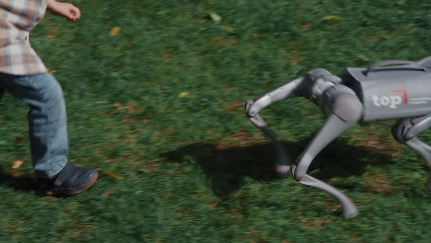 Young boy happily playing with his advanced robotic dog companion on a green lawn in a park - Powered by Shutterstock - Get 15% off with code: PIKWIZARD15