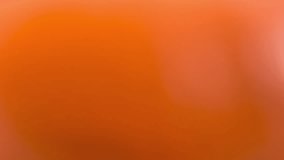 Halloween holiday concept. Greeting card. Copy space. Orange pumpkins, black bats and spider crawls on white background. Stop motion animation. - Powered by Shutterstock - Get 15% off with code: PIKWIZARD15