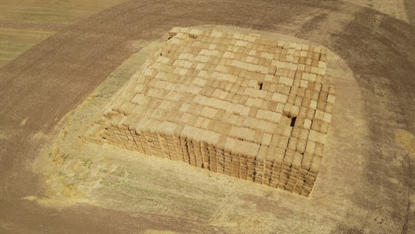 Drone aerial view of stacked rectangular hay bales collected after harvest on farmland, showcasing agricultural production, crop residue management, livestock feeding, and countryside rural environmen