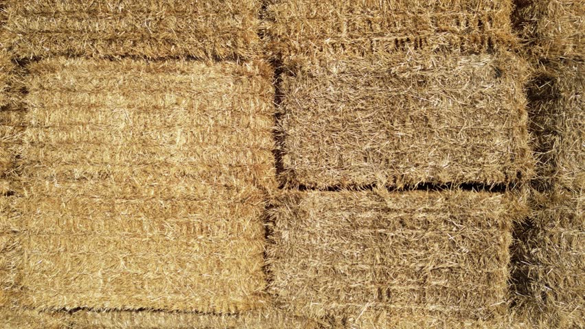 Drone aerial view of stacked rectangular hay bales collected after harvest on farmland, showcasing agricultural production, crop residue management, livestock feeding, and countryside rural environmen