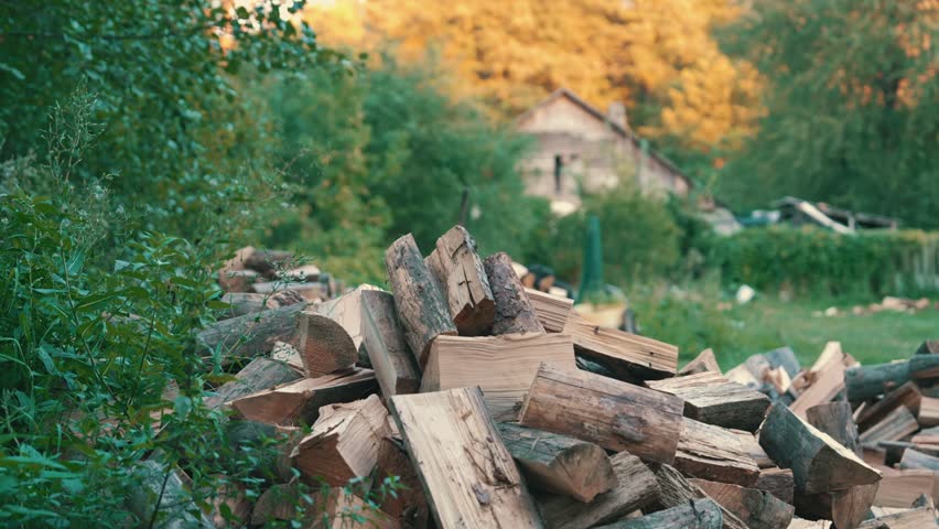 Chopped Firewood Stack Close-Up View in Forest Backyard | Rural Wooden House Blurred Background Among Dense Summer Trees | Sunset Evening Light