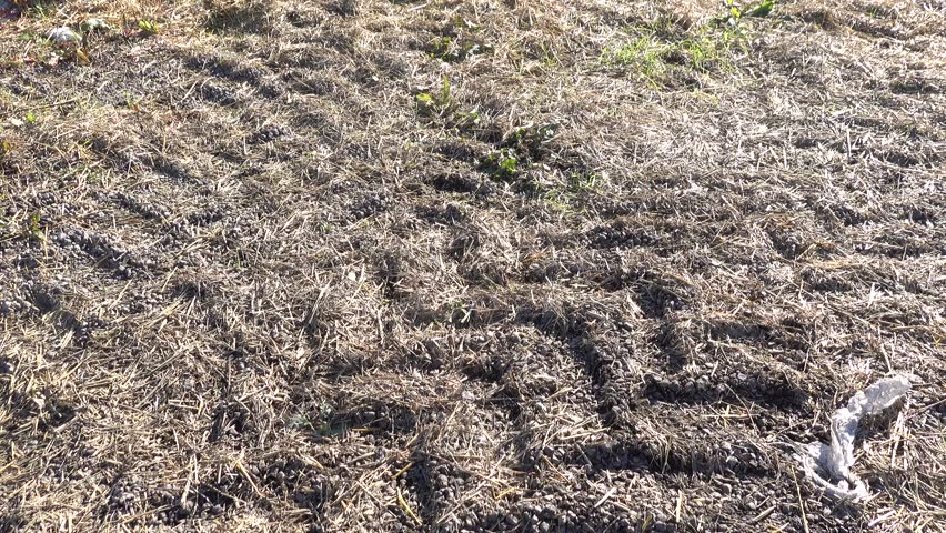 Uppsala, Sweden Stacked hay bales on the side of a rural road. 