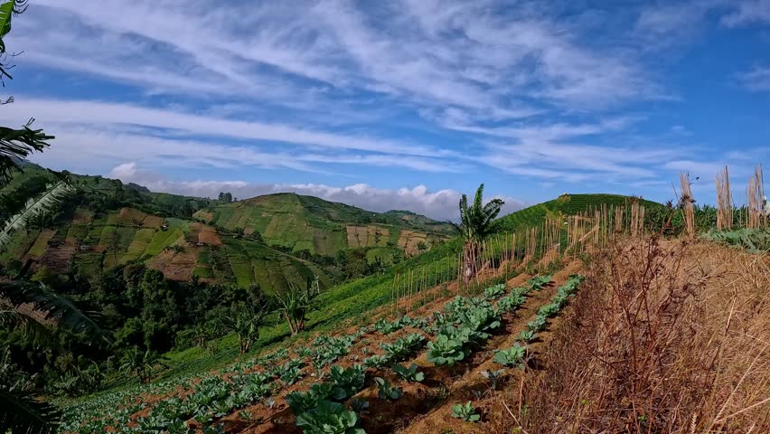 Scenic Mountain Landscape with Vegetable Farms and Clear Blue Sky