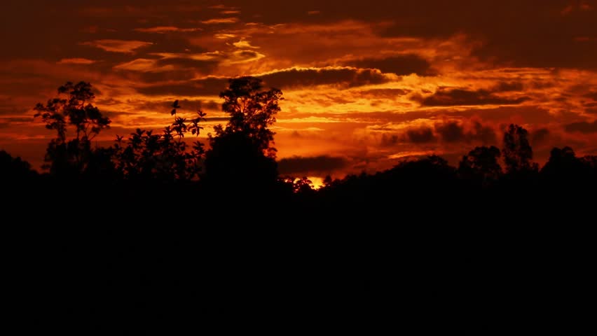 Golden sky in the late afternoon.