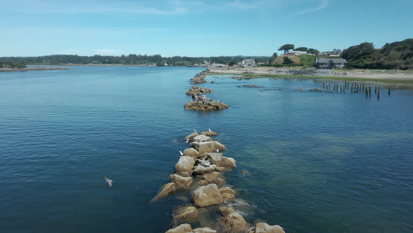 Drone flying low over rocks on an Oregon River with seagulls flying in slow motion. Scenic coastal landscape in Bandon Oregon.