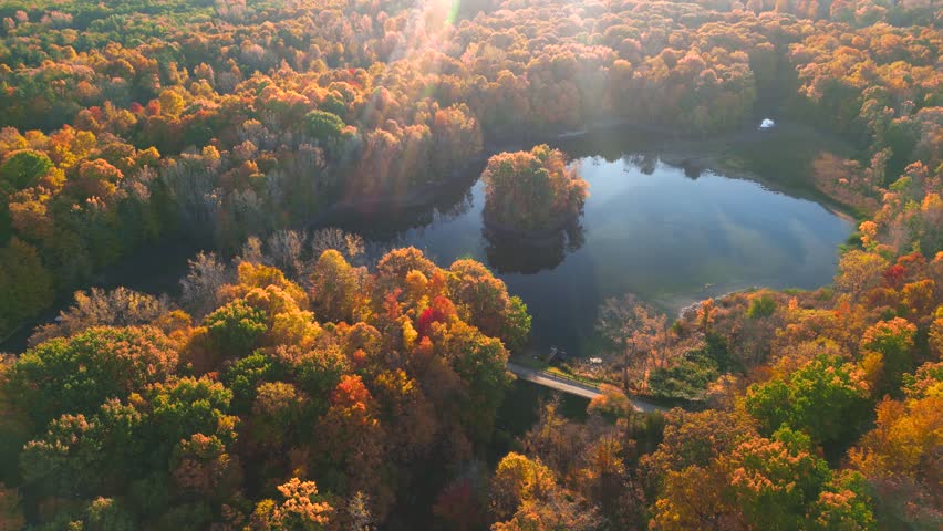 Aerial view of canopy of trees and lake in autumn time with sun rays,  Maybury state park, Michigan.