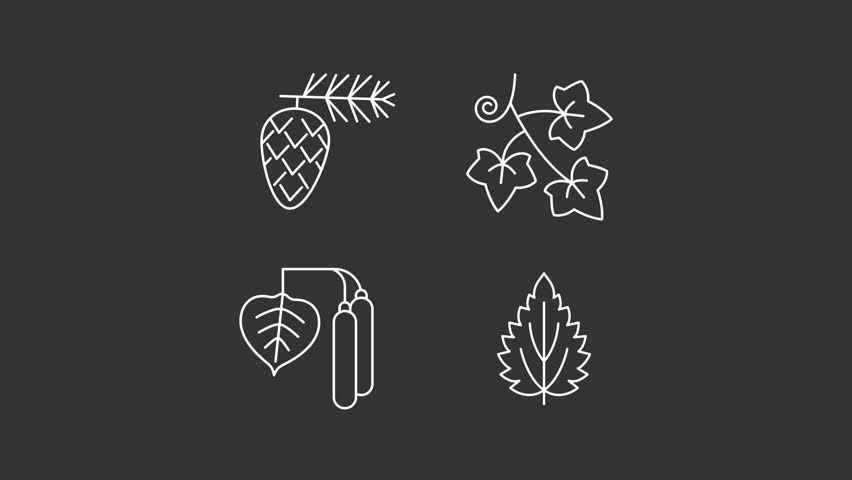 Animated trees pollen white line icons. Blooming plant allergy animation set. Intolerance to organic substances. Health problem. Isolated elements on dark background. Alpha channel HD video