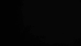 Slow motion shot of fresh enoki mushrooms falling and bouncing towards camera on black background. Premium Japanese ingredient footage perfect for Asian cuisine content. - Powered by Shutterstock - Get 15% off with code: PIKWIZARD15