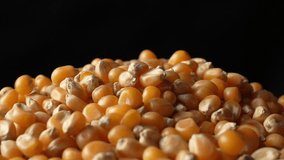 Slow motion close-up of fresh yellow corn kernels falling and bouncing on a black background. Premium agricultural footage perfect for food industry ads and cooking content. - Powered by Shutterstock - Get 15% off with code: PIKWIZARD15