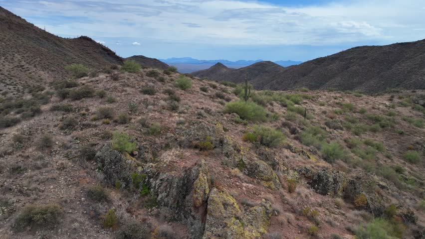 Aerial view of the arid mountain landscape dotted with green cacti and shrubs, creating a textured contrast against the reddish-brown earth, Bartlett Lake, Arizona, United States.
