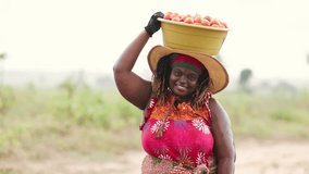 African Agriculture tomato businesswoman farmer carries a bowl of freshly picked tomatoes on her head in the field, drizzling weather, rural setting. - Powered by Shutterstock - Get 15% off with code: PIKWIZARD15