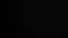 Slow motion shot of fresh bell peppers falling and bouncing towards camera on black background. Premium vegetable footage perfect for cooking shows and restaurant marketing content. - Powered by Shutterstock - Get 15% off with code: PIKWIZARD15