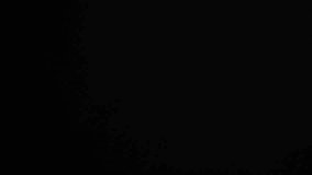 Slow motion shot of fresh yellow bell peppers falling and bouncing towards camera on black background. Premium vegetable footage perfect for cooking shows and colorful food content. - Powered by Shutterstock - Get 15% off with code: PIKWIZARD15