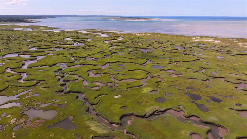 Aerial view of vivid green marshlands contrasting with winding dark water channels leading to Cape Cod Bay, under a clear blue sky. Gray