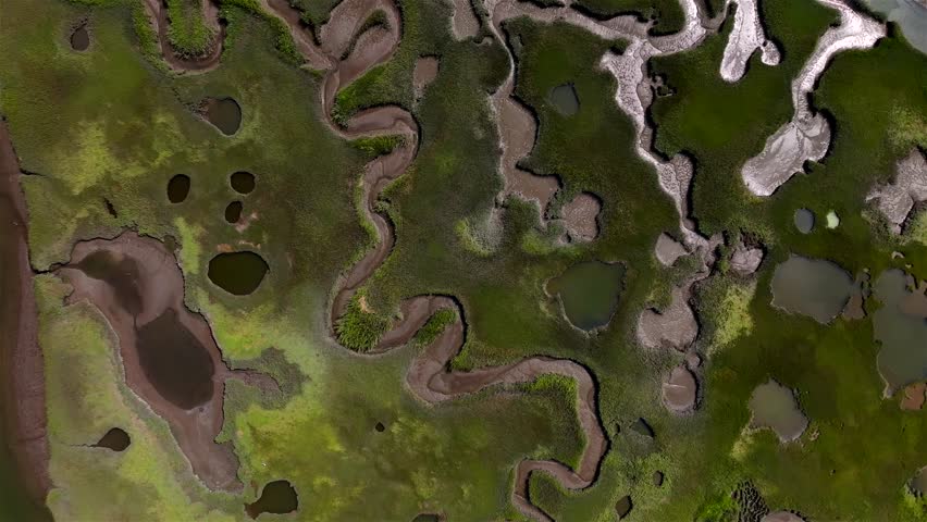 Aerial view of curving streams and ponds cutting through the lush green and brown marshland, creating a tapestry of textures and tones. Gray