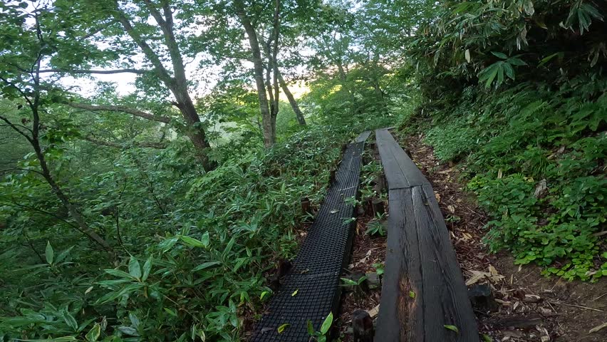 Ozegahara Marshland in Gunma, Japan with Wooden Walkways, Clear Streams, and Scenic Wetlands Surrounded by Mountains in Summer, Oze National Park