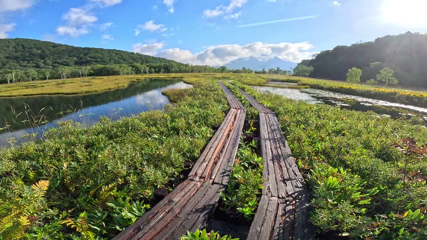 Ozegahara Marshland in Gunma, Japan with Wooden Walkways, Clear Streams, and Scenic Wetlands Surrounded by Mountains in Summer, Oze National Park