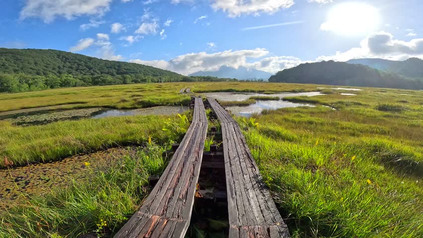 Ozegahara Marshland in Gunma, Japan with Wooden Walkways, Clear Streams, and Scenic Wetlands Surrounded by Mountains in Summer, Oze National Park