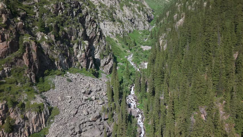 Crystal clear water flows down a mountain stream, carving its way through a rocky gorge and surrounded by a dense, lush forest, creating a picturesque natural landscape