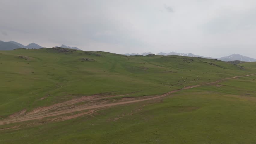 Expansive verdant meadows rolling towards snow capped mountain peaks, revealing dramatic cloudscape stretching across pristine wilderness landscape under soft atmospheric light