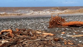 The aftermath of a heavy rain, flood and storm on a pebble beach. Driftwood, tree remains, debris, and very muddy brown waves. Concept of deterioration of hygiene conditions due to natural disasters - Powered by Shutterstock - Get 15% off with code: PIKWIZARD15
