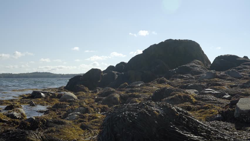 Scenic View of the Rocky Shoreline at Lamoine Beach