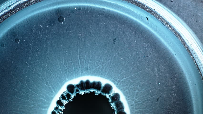 Macro view of substances mixing, creating vibrant textures and patterns