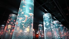 Circular Aquariums With Colorful Led Lights and Goldfish in Dark Room, Fantasy World Scene - Powered by Shutterstock - Get 15% off with code: PIKWIZARD15