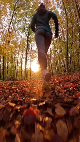 VERTICAL, LENS FLARE, SLOW MOTION: Fit woman runs through golden autumn forest at sunrise, accompanied by her two dogs. Rays of light spread across colourful fall foliage as she runs along leafy path