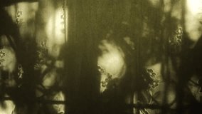 Window and sunset sunlight or moonlight, moving vintage curtain and floral shadow. Minimal interior decoration. Cozy home. Autumn style aesthetics	 - Powered by Shutterstock - Get 15% off with code: PIKWIZARD15