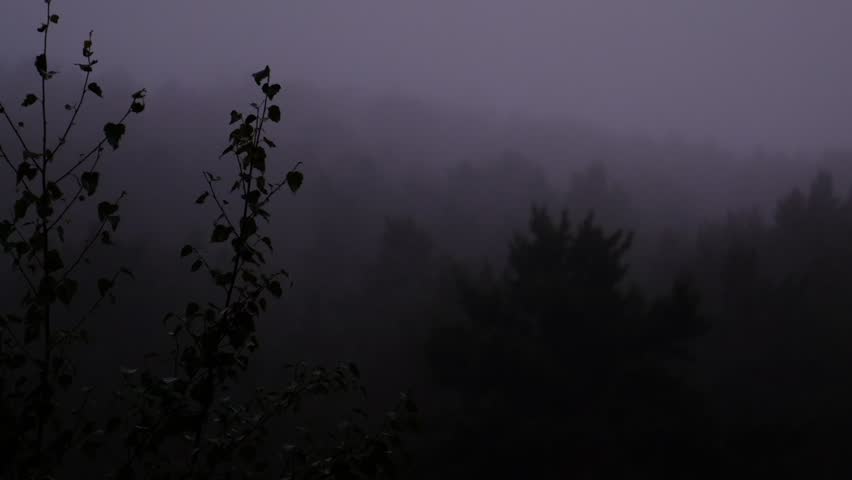 Misty landscape with fir forest. Cottage roof, bungalow. Surreal atmospheric mood. Dark Spruce Wood silhouette surrounded by Fog. Panoramic foothills, mountains. Surreal journey, spirituality