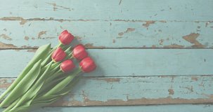 Disc hovering beside red tulips chains linking discs joining rotating forming ring for network demo. Network, sculpture, contemporary, jewelry, abstract, digital, design - Powered by Shutterstock - Get 15% off with code: PIKWIZARD15