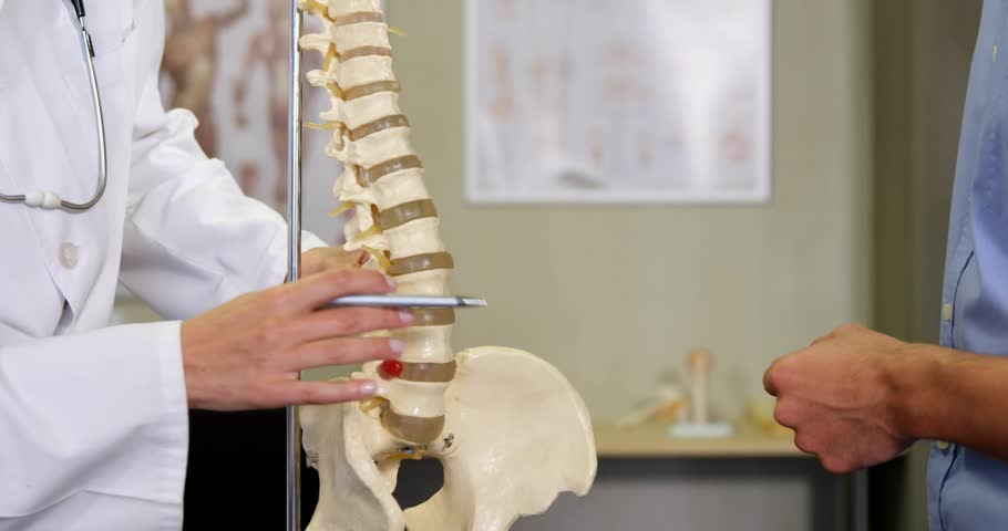 Clinician moving pointer along lumbar spine as rotating globe animating area for patient education. Medical, education, illustration, healthcare, professional, anatomy, technology