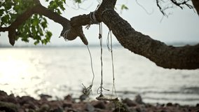 Rustic wooden swing tied with ropes hangs from a tree branch near the sea, creating a peaceful and nostalgic coastal atmosphere. - Powered by Shutterstock - Get 15% off with code: PIKWIZARD15