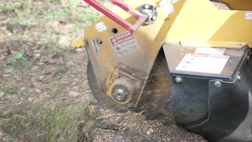 Detailed close-up of a stump grinder wheel cutting through a tree stump, captured in slow motion with flying wood chips and debris, showing precision landscaping, arborist work, and heavy-duty outdoor