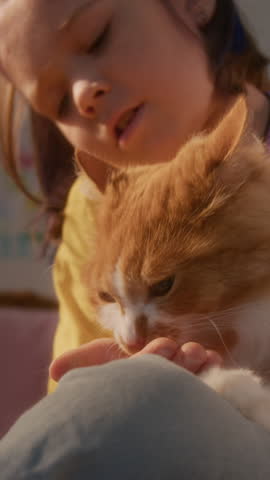 Vertical close up shot of pet cat eating treats and licking hands of little girl indoors