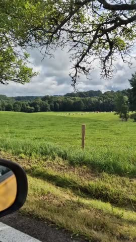 A compilation of real car rides on country roads. Fast-forward mode. 