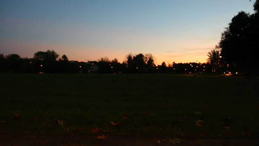 Beautiful bright color sunset over the city, silhouette of trees with autumn leaves on the green grass