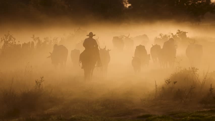 Cowboy on a ranch at sunset