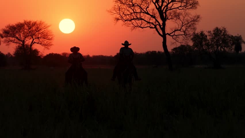 Cowboy on a ranch at sunset