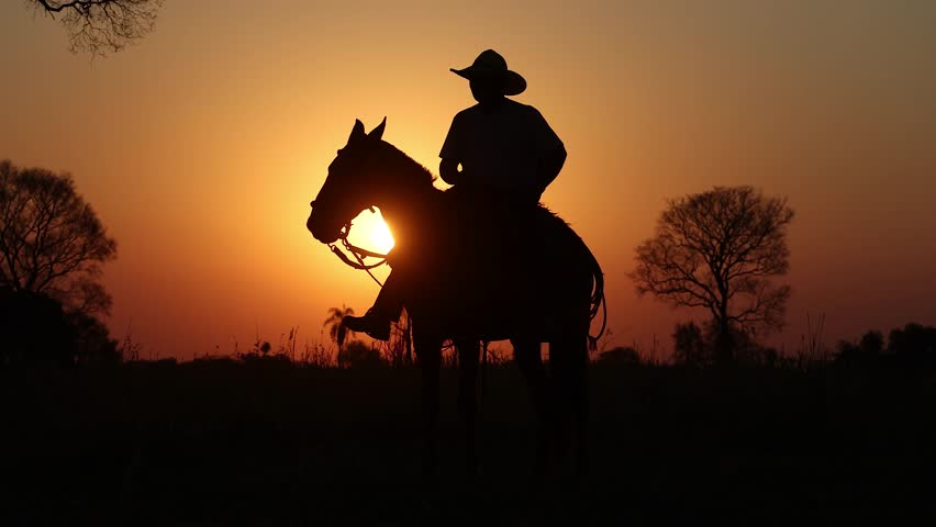 Cowboy on a ranch at sunset