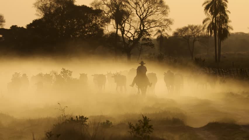 Cowboy on a ranch at sunset