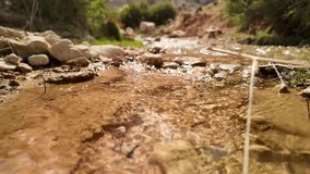sunlight sparkles on a shallow mountain creek as clear water glides over sandy ripples, pebbles, and tiny plants. Golden reflections and bokeh texture, flow, and tranquility in a pristine streambed. - Powered by Shutterstock - Get 15% off with code: PIKWIZARD15