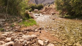 Low creek bank in Mojen near Shahrood, Iran, clear shallow water glides over pebbles and sand. Tiny flying insects shimmer above the ripples as sunlight sparkles across the golden streambed and shrubs - Powered by Shutterstock - Get 15% off with code: PIKWIZARD15