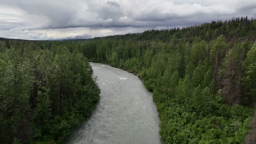 Aerial View of River Winding Through Thick Forest with Overcast Sky, East Fork Chulitna River in Alaska