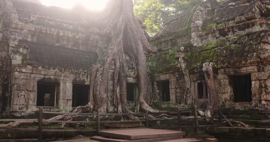 A cinematic camera rise from bottom to top reveals Ta Prohm Temple with enormous tree roots covering the ruins in Cambodia. Perfect for tourism, lifestyle, cultural heritage, and adventure promo