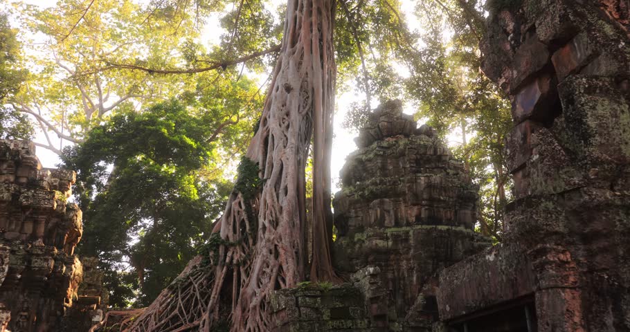 Slow motion footage of sunlight filtering through tree leaves over Ta Prohm temple ruins in Angkor Wat, Cambodia. A mysterious, fairytale atmosphere ideal for travel, history and fantasy promo.