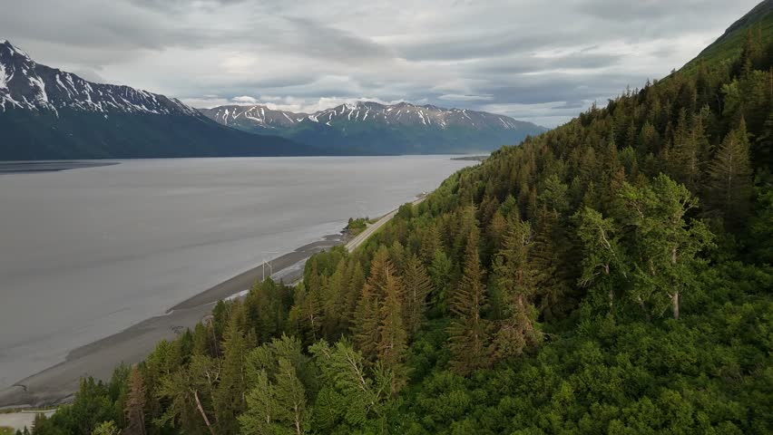 Aerial View of Pine Forest along the coast of Turnagain Arm in Alaska, Mountains with Snow in Background, Cloudy Sky, Kenai Peninsula, Seward Highway, early morning Late June